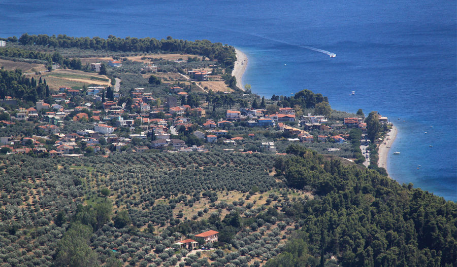 'Eleonas' resort from above surrounded by trees with the sea in the background